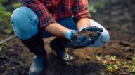 Two Simple Ways To Test Your Soil Before Planting