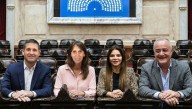 Juraron los diputados Medina, Noguera, Pelli y Molinuevo