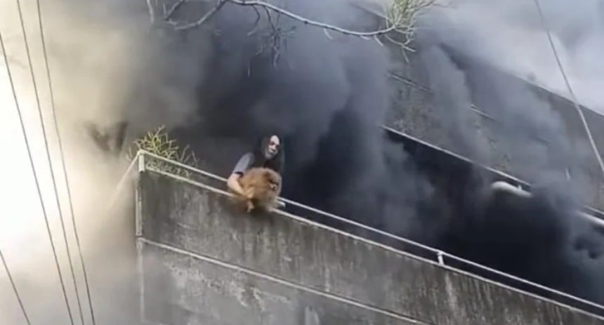 Mujer arriesga su vida para salvar a sus tres perros de un incendio en Filipinas