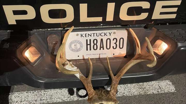 Kentucky Fish and Wildlife cites 1 in Allen County for illegally harvesting buck