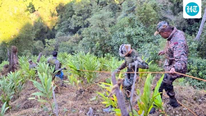 Arunachal accident: How sole survivor alerted authorities two days after mishap