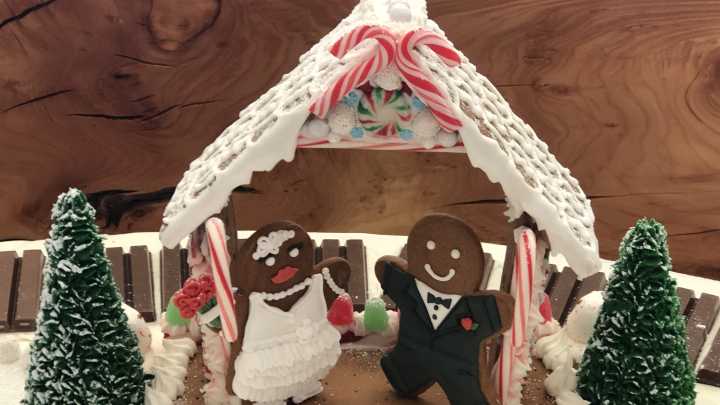 8 Finger Lakes holiday events you won’t want to miss this season