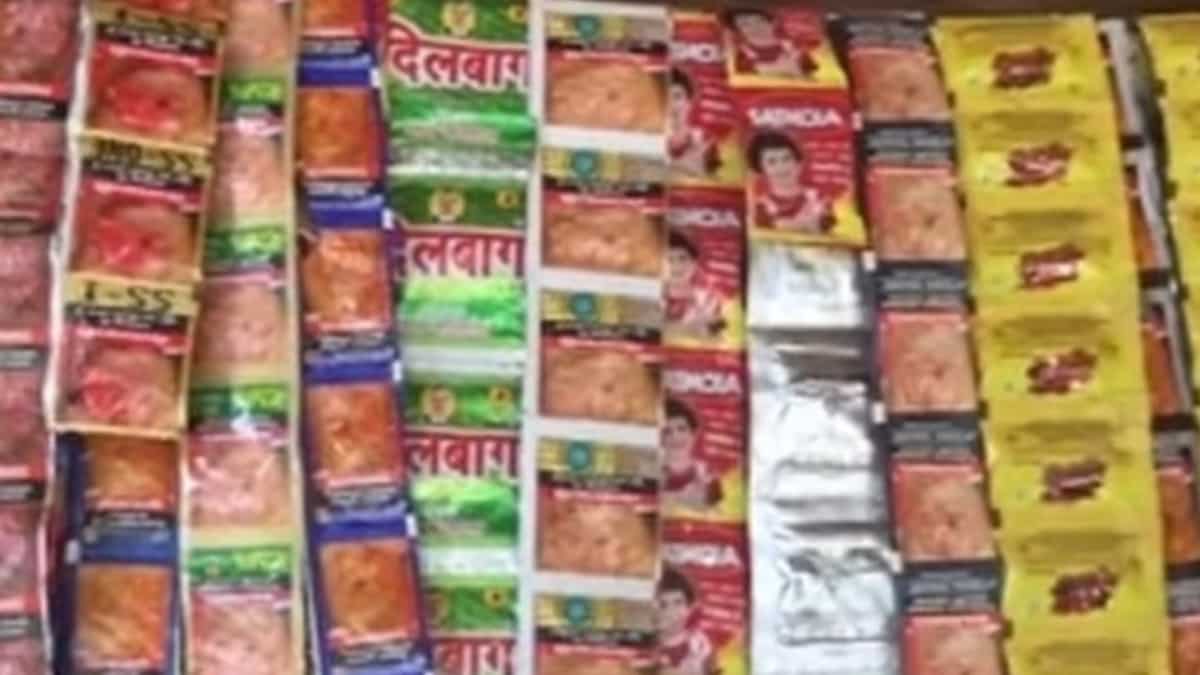 Centre makes it mandatory! Pan masala makers must disclose retail prices on every pack