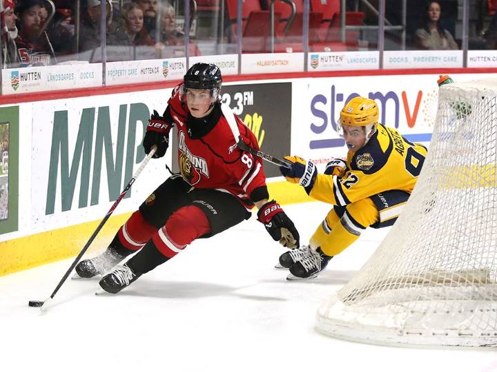 Bad blood? Just hockey, according to Wesley Royston and Michael Dec