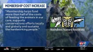 Audubon issues statement pausing plan to increase yearly membership prices