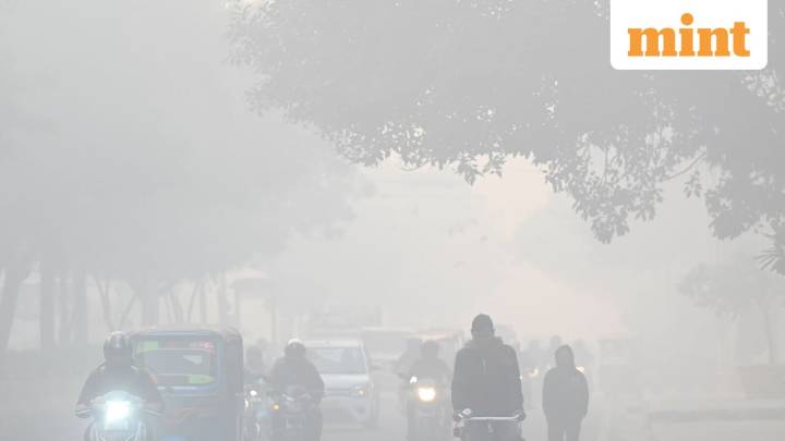 Delhi govt directs 50% staff to work from home as GRAP IV kicks in