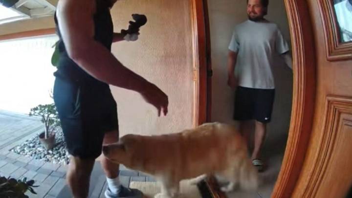 Texas Dog’s Priceless Reaction To A Visitor Prank Has Everyone Laughing Out Loud