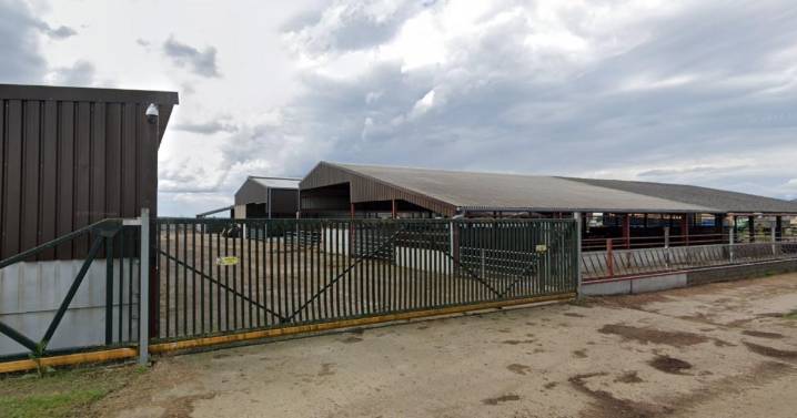 Plans for slurry lagoon in Mettingham, near Bungay, approved