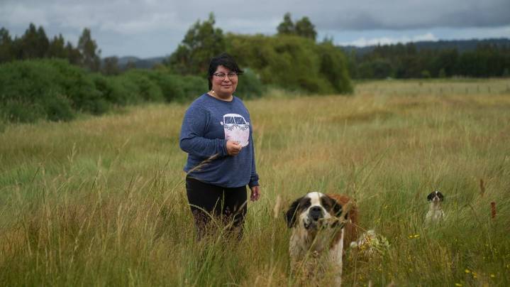 After centuries of conflict, Chile's Indigenous Mapuches fear a far