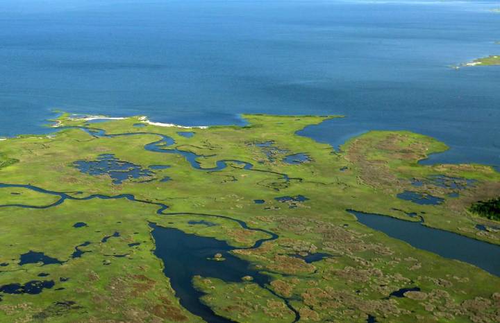 Virginia joins Chesapeake Bay states, DC in new watershed agreement