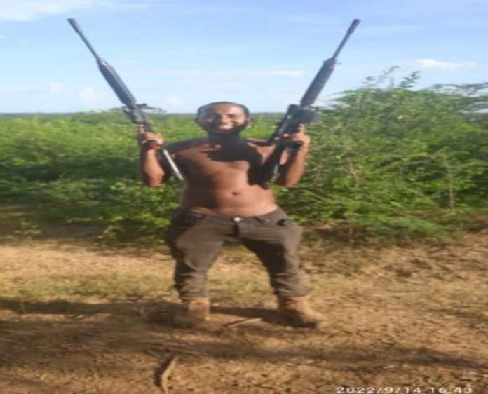 Abatidos «el fiebre, el canache y el bebe»