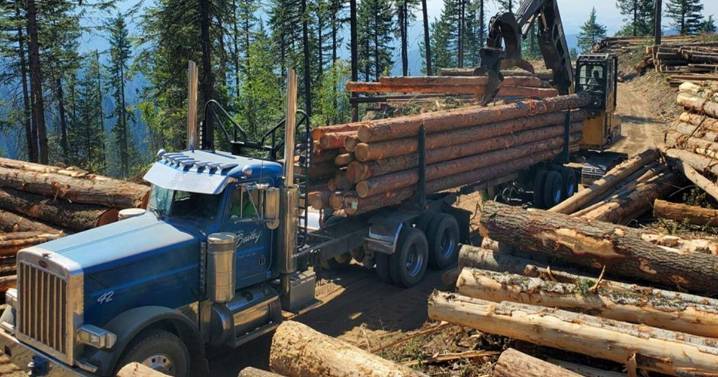 Idaho partners with US Forest Service with goal to double timber sales