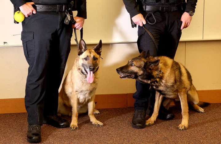 3 new K-9 teams join Northland law enforcement ranks