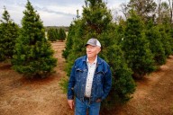 Last Christmas: An East Texas Christmas tree farm closes after 40 years, despite booming sales