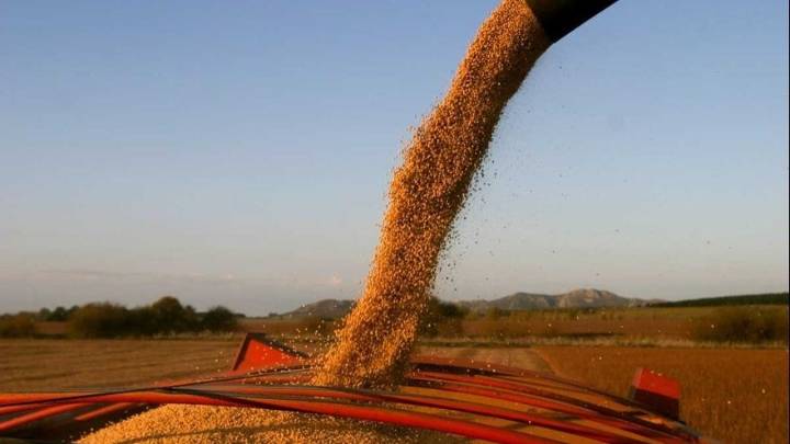 Se anunció la baja de retenciones a las exportaciones de granos