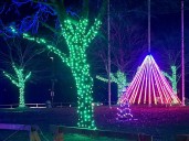 Brockville switches on River of Lights