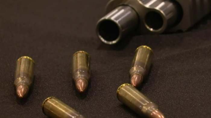 Florida bill to lower rifle purchase age from 21 to 18 moves forward, may be ready for 2026 legislative session