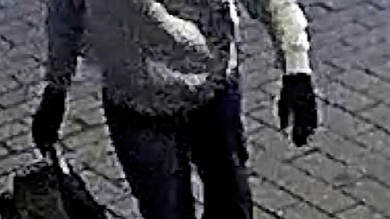 Accused DC pipe bomber told FBI he believed 2020 election was stolen