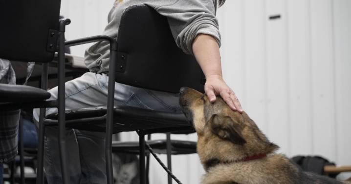 Montana veterans service dog nonprofit warns of major federal funding loss
