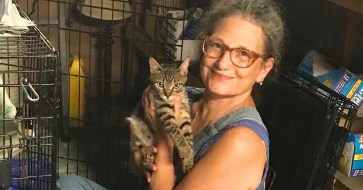 Long-Time Newark Resident and Animal Lover Takes on Stray Cats in Need with ‘Forest Hill Friends’