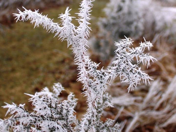 Cold alert issued for Brantford