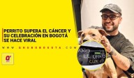 Perrito supera el cáncer y su celebración en Bogotá se hace viral