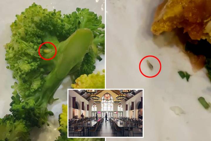 USC students report worms and bugs in food at student dining halls