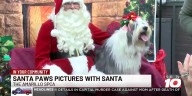 Amarillo SPCA to host ‘Santa Paws’ picture fundraiser this weekend