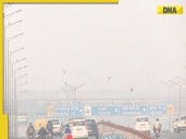 Delhi-NCR air quality remains in 'very poor' category with persistent smog
