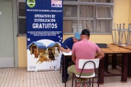 Fundación Uproa avanza en proyecto de esterilización de 700 perros
