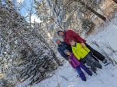 Charlie Brown-style real trees are superior: snowshoes are optional