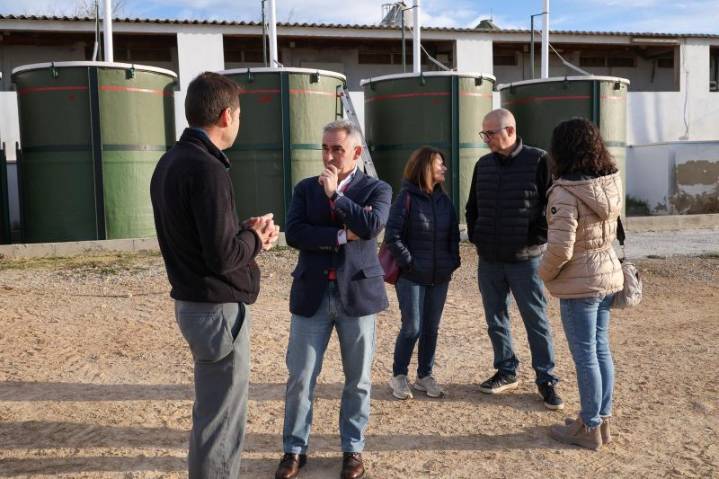 Barrachina amplía las ayudas para reforzar la bioseguridad y proteger al sector porcino