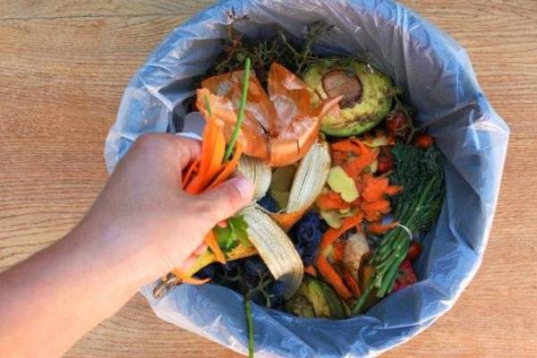 Por qué es importante reciclar alimentos y cuáles son las mejores prácticas al hacerlo