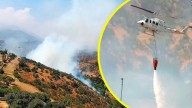 Incendio forestal en Lo Barnechea: Bomberos y Conaf trabajan para controlar el fuego