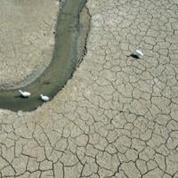 2025 on track to tie second hottest year on record: EU monitor