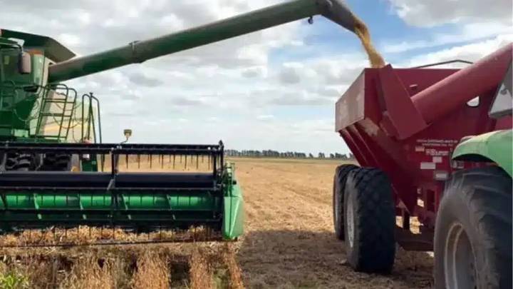 El Gobierno bajó las retenciones al campo: a cuánto tributará la soja