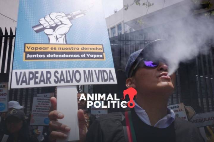 Estados deben tomar medidas para evitar la venta y el mercado negro de vapeadores, dice Sheinbaum
