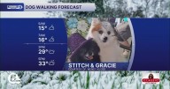 Tuesday Dog Walking Forecast: Frigid, snowy, then windy