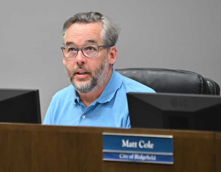 Vancouver council votes to send ‘4-3-2’ representation plan to C