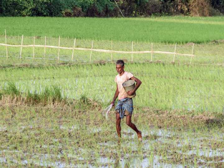 'Decision on fixed cost urea framework is in last leg'