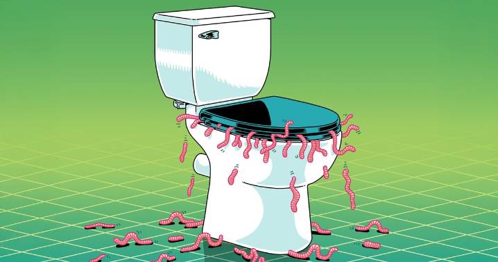 Why Does Everyone Think They Have Parasitic Worms?