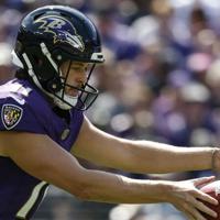 NFL: Punter Jordan Stout (Honaker) having All-Pro caliber season for the Baltimore Ravens