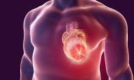 Uterine fibroids linked to elevated heart disease risk: Study