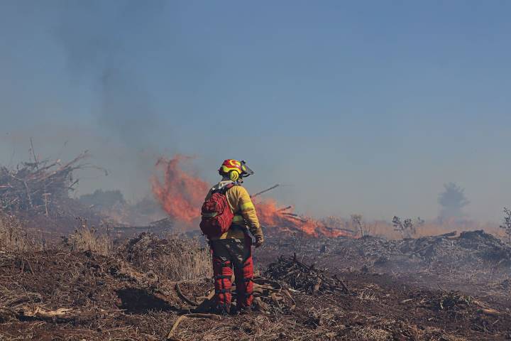 Alerta Roja en Paredones: incendio forestal avanza desenfrenado y obliga evacuaciones