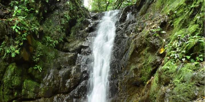 Balnearios naturales del Tolima: cómo llegar y precios