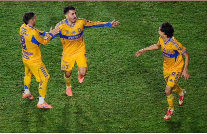 Tigres asesta zarpazo a Diablos