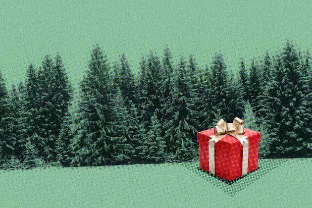 From memories to money: How to slay the gift-giving game with your adult kids!