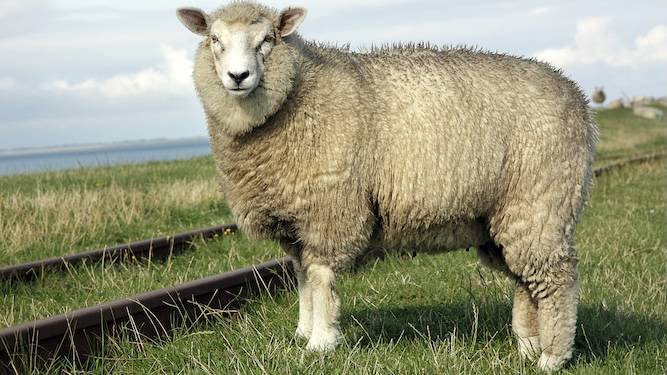 Your astrological week ahead for December 6th, with Psychic Bob