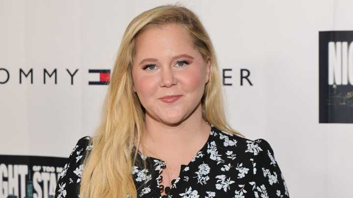 Amy Schumer Displays Weight Loss After Thanksgiving