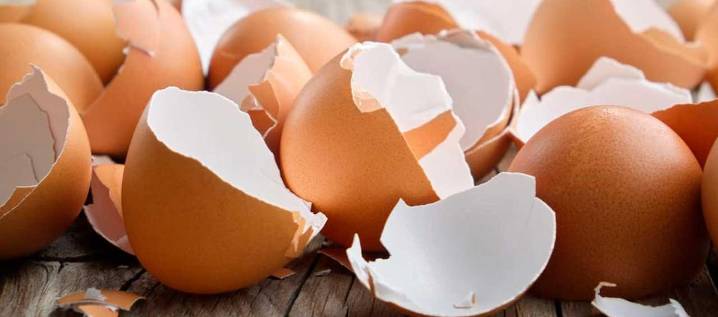 Estados Unidos autorizó la exportación desde Colombia de huevo con cáscara